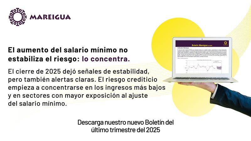 Boletin Web